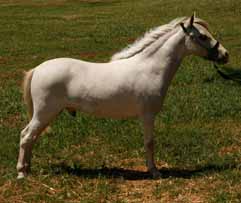 WeeOkie's O Look at Me